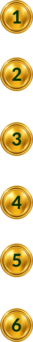 bullets